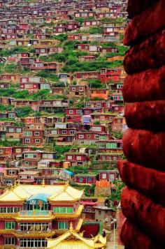 
                    
                        The world's largest Buddhist Institute Sertar Buddhist Institute, Sichuan, China
                    
                