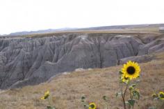 
                    
                        Badland's National Park, South Dakota #travel #usa #nationalparks #grandeuropean
                    
                