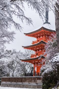 
                    
                        Snow in #Kyoto (2) Standing in silence by Takk B on 500px #Japan
                    
                