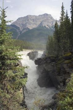 
                    
                        Athabasca Glacier, Alberta, Canada #travel #canada #grandeuropean
                    
                