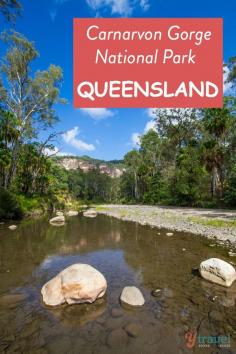 
                    
                        Go To Carnarvon Gorge National Park in Queensland, Australia
                    
                