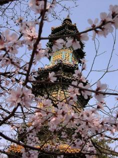 
                    
                        Summer Palace, Beijing, China. #Travel #Inspire
                    
                