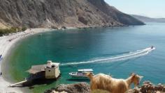 
                    
                        Glyka Nera beach (=sweet water), Taverna Mermaid Island, Crete Greece, Kreta, beetween Chora Sfakion and Loutro, 30/60 min walk or by boat.
                    
                