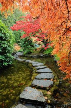 
                    
                        Butchart Gardens, British Columbia, Canada ~ Wonderful Places | Amazing Pictures
                    
                