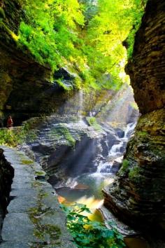 
                    
                        Watkins Glen, New York
                    
                