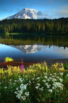 
                    
                        Spring at Mt. Rainier in Washington.
                    
                