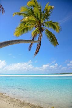 
                    
                        Aitutaki, Cook Islands. Wow. Now on my travel bucket list.
                    
                