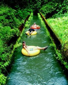 
                    
                        Kauai Mountain Tubing Adventure. Photo courtesy of Kauai Backcountry Adventures. - Photo courtesy of Kauai Backcountry Adventures.
                    
                