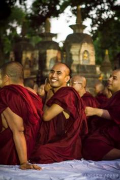 
                    
                        Celebrating the Buddha in India
                    
                