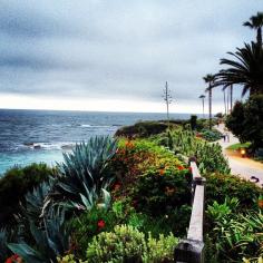 
                    
                        montage restort laguna beach via @happymundane on Instagram
                    
                