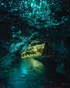 
                    
                        Glowworm Caves New Zealand
                    
                