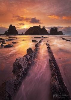 
                    
                        Olympic National Park, WA
                    
                