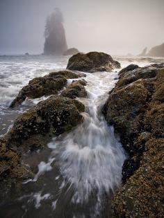 
                    
                        Second Beach - Olympic National Park
                    
                