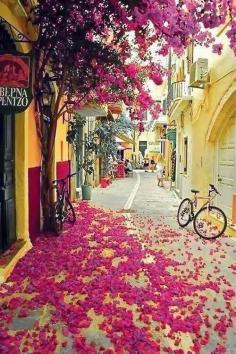 
                    
                        Travel Memory Bougainvillea, Isle of Crete, Greece
                    
                