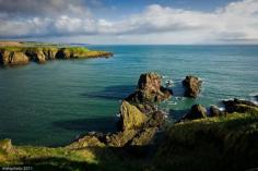 
                    
                        Scotland, Aberdeenshire.  Near Dunnottar
                    
                