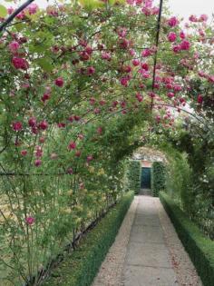 
                    
                        Picking a Garden Pergola : HGTV Gardens
                    
                