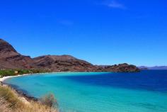 
                    
                        Bahia de Concepcion, Baja California Sur, Mexico - Just driving...
                    
                