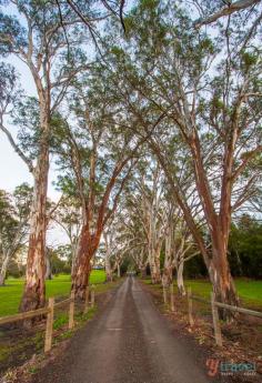 
                    
                        Barossa Valley, South Australia
                    
                