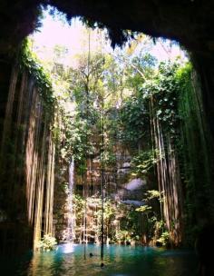 
                    
                        Cenote - between Merida and Cancun, Mexico
                    
                