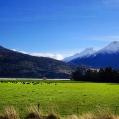 
                    
                        Haast, Haast, New Zealand - I now know why many say New Zealand...
                    
                