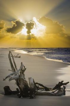 
                    
                        Sunset at Tailor Bight in Moreton Island, Qld, Australia
                    
                