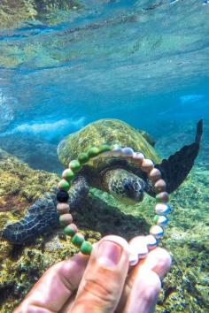 
                    
                        Lokai is helping spread the message of the worlds natural balance by protecting wildlife with World Wildlife Fund. Where in the wild do you #LiveLokai?
                    
                