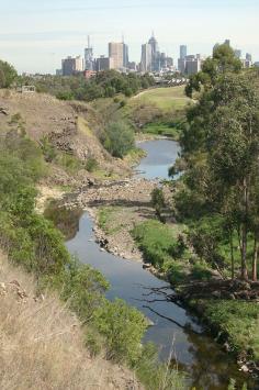 
                    
                        The Merri Creek passing through Fairfield and Clifton Hill with Melbourne city skyline in the distance.
                    
                