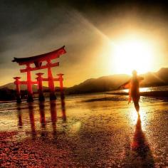 
                    
                        Japan - Beautiful Miyajima Island, with a view over Hiroshima ☀️  www.fromicetospic...
                    
                