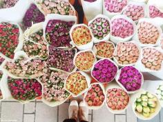 
                    
                        Sundays don’t normally feel complete at home without a local market date with two simple things: coffee and a bunch of flowers. I made that happen on the other side of the world with a visit to ...
                    
                