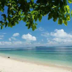 
                    
                        Turtle Island Park, Sandakan, Malaysia - One of the most beautiful...
                    
                