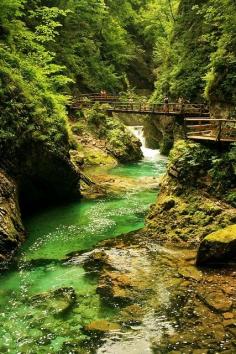 
                    
                        Vintgar Gorge, Triglav National Park ... Slovenia
                    
                