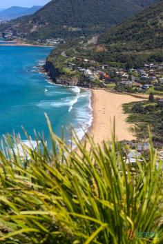 
                    
                        Bald Head Lookout, NSW, Australia
                    
                