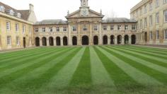 
                    
                        Cambridge, Cambridge, England - Most perfect lawn I've ever seen
                    
                