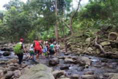 
                    
                        Halawa Valley Molokai - Hiking over the river in the valley
                    
                