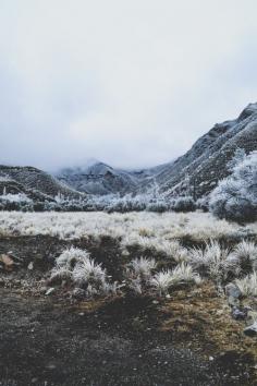 
                    
                        Winter tundra.
                    
                