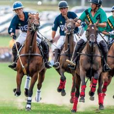 
                    
                        The pearls meet the ponies in Newport, RI, on Saturday afternoons during the Newport International Polo Series, when teams compete and tailgate picnics are luxuriously upscale. Coastalliving.com
                    
                