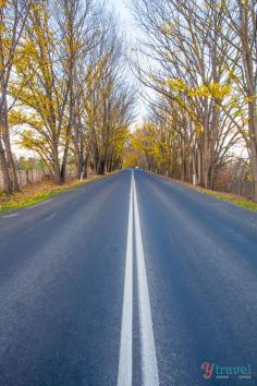 
                    
                        On the road to Bathurst, a great country town and getaway from Sydney, Australia
                    
                