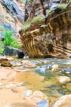 
                    
                        Zions Walls
                    
                