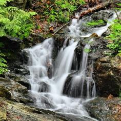 
                    
                        Mackenzie King Estate, Gatineau, Quebec - Bridal Veil Falls in...
                    
                