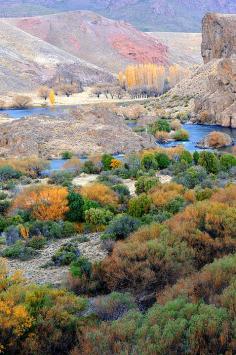 
                    
                        Rio Limay, Neuquen, Region de Los Lagos. Patagonia, Argentina  (copyright: SaulSantosDiaz photographer)
                    
                