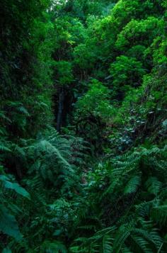 
                    
                        Others love-england: La Palma (by Henrikoby)
                    
                