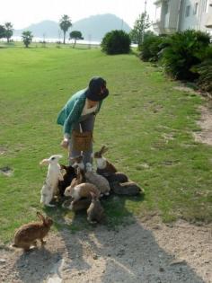 
                    
                        Rabbit Island, Japan
                    
                