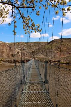 
                    
                        Drumheller in #Alberta #Canada Suspension bridge
                    
                