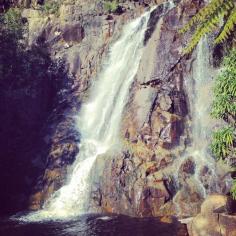 
                    
                        Steavenson Falls, Australia
                    
                