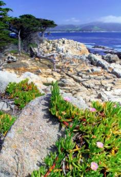 
                    
                        Monterey Bay | by Igor Bespamyatnov
                    
                