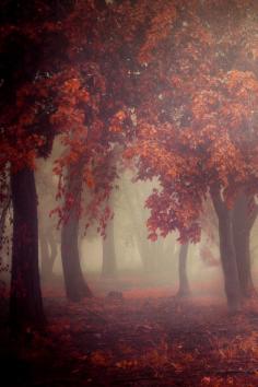 
                    
                        banshy:  Make It Happen | Ildiko Neer
                    
                