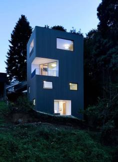 
                    
                        Tower House | Waechter Architecture | Archinect
                    
                