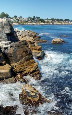 
                    
                        Love's Point Pacific Grove by Igor Bespamyatnov
                    
                