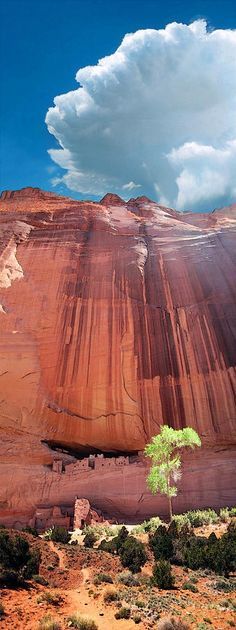 
                    
                        The ancient White House ruins at Canyon De Chelly, AZ
                    
                