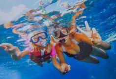 
                    
                        Snorkel the Great Barrier Reef in Australia
                    
                